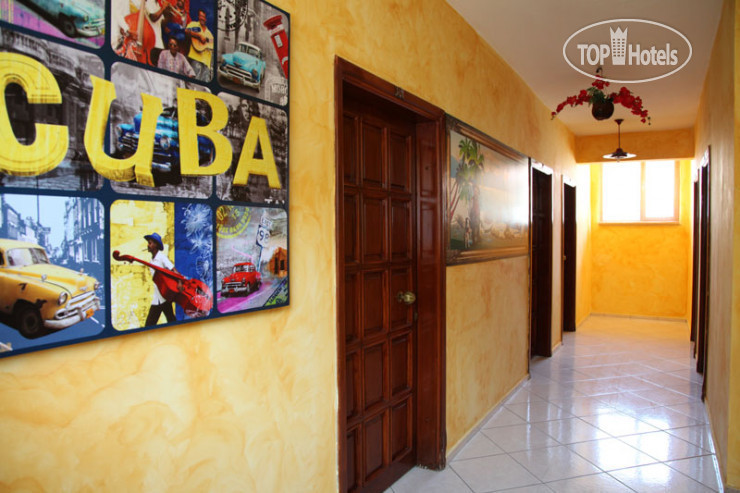 Новые добавленные фото туристов El Latino Hotel