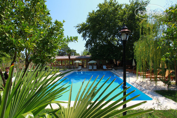 Новые добавленные фото туристов Sedir Palas Hotel