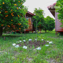Sunrise Bungalows Сад
