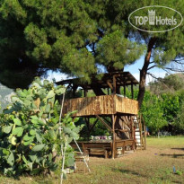 Billur Pension