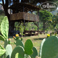 Billur Pension