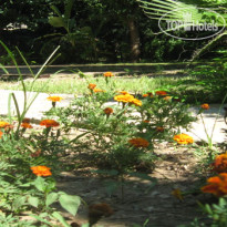 Rose Bungalov
