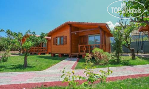 Фотографии отеля  Baris Pansiyon & Bungalows 