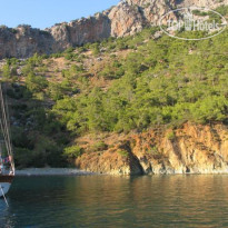 Blue Voyage Forsa Hotel 