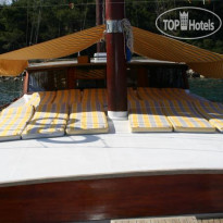 Blue Voyage Forsa Hotel 