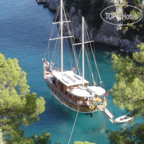 Blue Voyage Forsa Hotel 