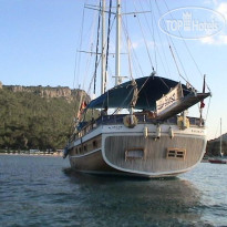 Blue Voyage Forsa Hotel 