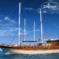 Blue Voyage Forsa Hotel 