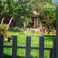 Koala Bungalows