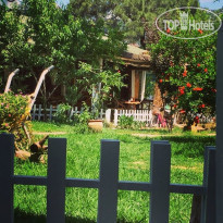 Koala Bungalows