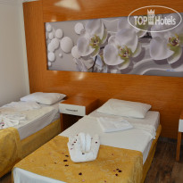 Anita Dream Hotel