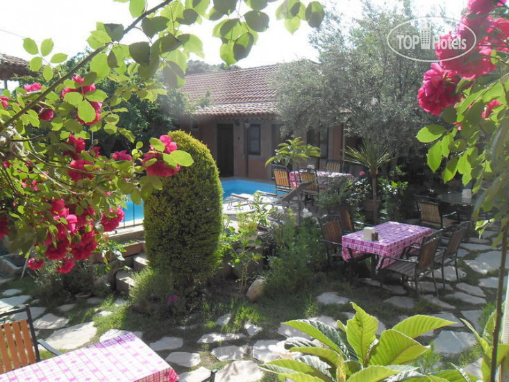 Photos Akropolis Guest House