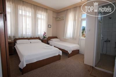 New photos from tourists Alkan Hotel