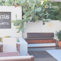 Kaktus Apartment & Hotel 