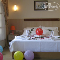Safari Hotel 