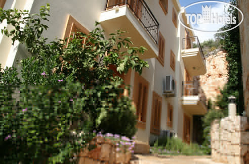 Новые добавленные фото туристов Begonvil Hotel