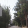 Saray Lara Hotel 