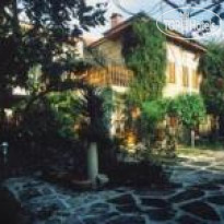 Begonville 