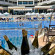 Seher Kumkoy Star Resort & Spa 