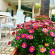 Seher Kumkoy Star Resort & Spa 