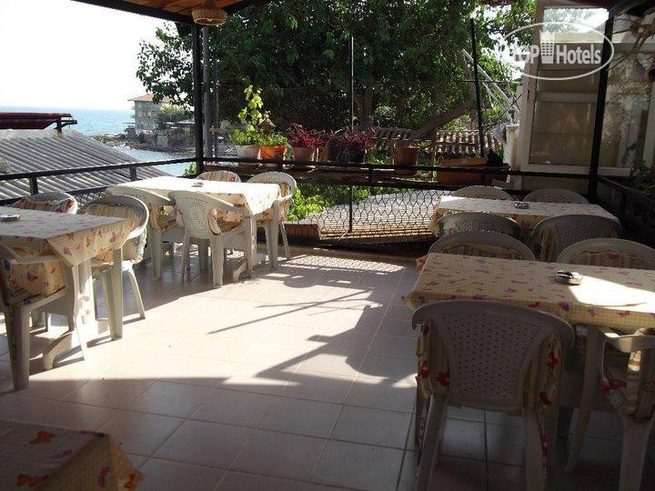 Новые добавленные фото туристов Selen Motel