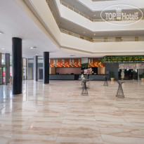 Asteria Collection Side Reception