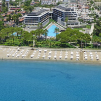 Acanthus & Cennet Barut Collection 