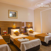 Boreas Suite 