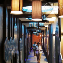 Sunprime C-Lounge