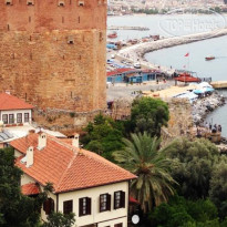 Orion Park Residence 