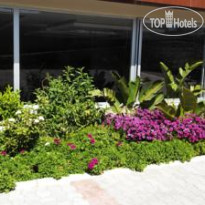 Pereulok Akhmeta Erdogana Hotel 