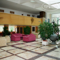 Top Hotel Лобби