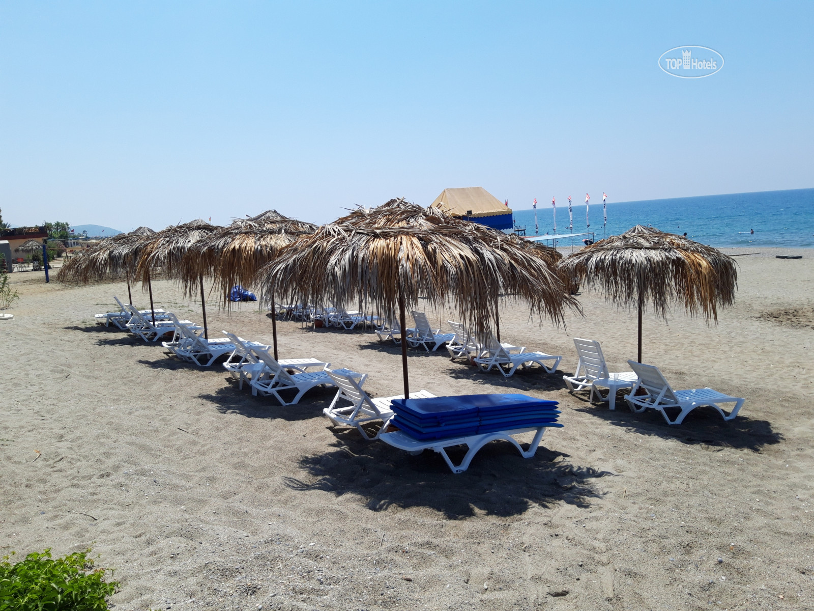 Turtas club отзывы. Отель Club turtas Beach Hotel. Turtas Club 4 Турция. Туртас клаб 4 звезды Алания. Club turtas Beach Hotel 4.