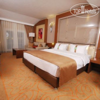 Фото отеля Holiday Inn Ankara - Kavaklidere 3*