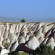 Cappadocia Palace 