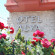 Alya Hotel 