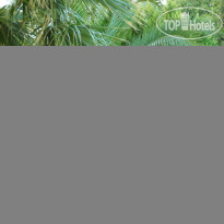 Palm Court Suites Hotel