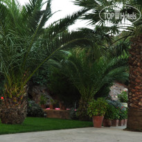 Palm Court Suites Hotel