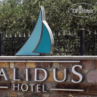 Calidus Hotel 