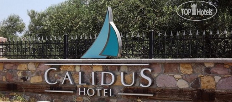 Фотографии отеля  Calidus Hotel 