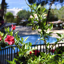 Symbola Oludeniz Beach Hotel 