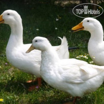 Naturalife Farm Hotel