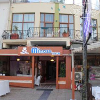 Mimoza Hotel 