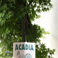 Acadia 