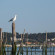 Residhome Arcachon Plazza 