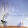 Ibis Clermont Ferrand Sud Carrefour Herbet 