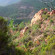 Les Terrasses De Saint Honorat 