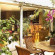 De l Orchidee 