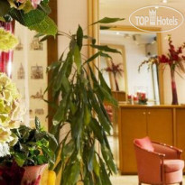 Timhotel Elysees 