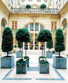 Hotel de Crillon A Rosewood Hotel 5*